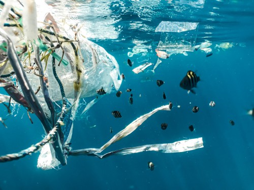 Marine Plastic Pollution World Sustainability Collective
