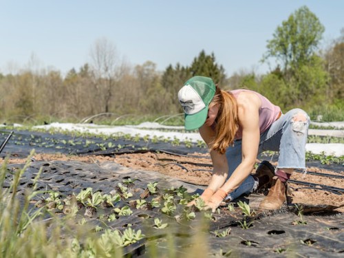 Sustainable Farming Photo by Zoe Schaeffer on Unsplash