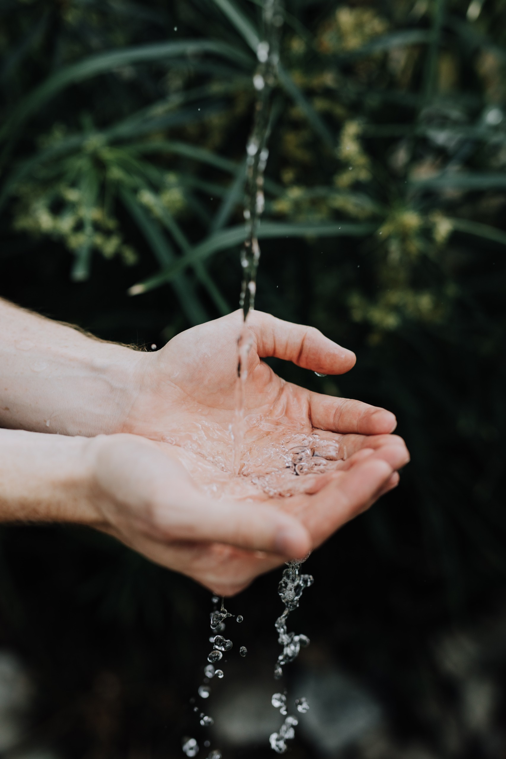 Stream of water drops on a person's cupped hands. Photo by Austin Kehmeier on Unsplash