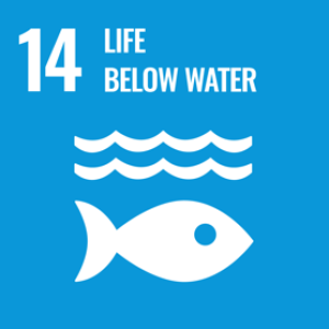 UN SDG 14 - Life Below Water